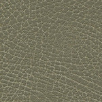 Brisa Distressed Prairie