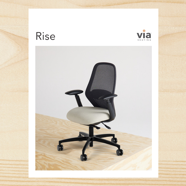 Rise Brochure
