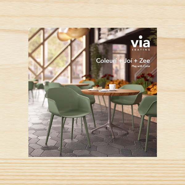 The Color Collection Brochure